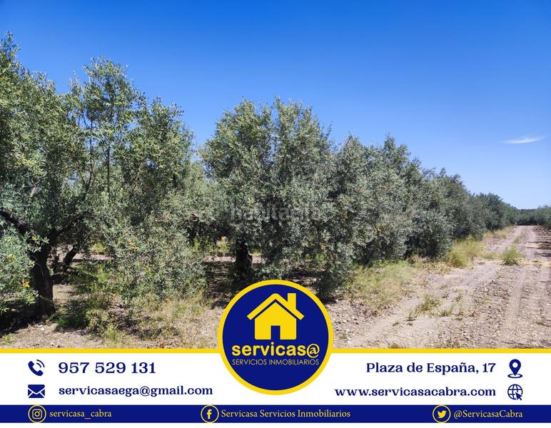 Foto d210c8d1-2466-4ffd-b716-41bf23d444c4. Propriété dans Cabra