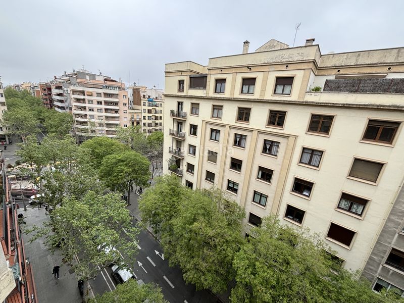 Foto 0da34b4f-8404-44a9-bb2b-f7953a9d79af. Pis amb calefacció a Sagrada Família Barcelona