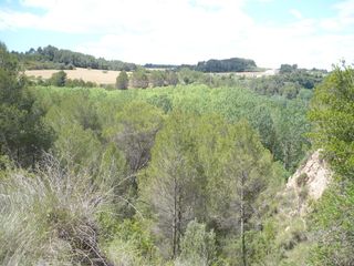 Rural plot in Sant Esteve Sesrovires. Finca rústica