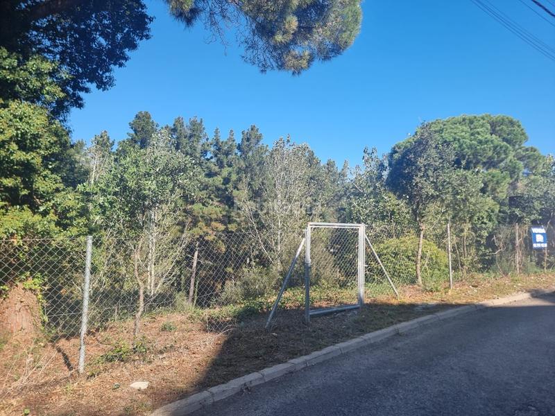 Foto 3f76d6e3-5495-40f6-a54a-4828586e41d9. Terreny residencial a Can Massuet del Far Dosrius