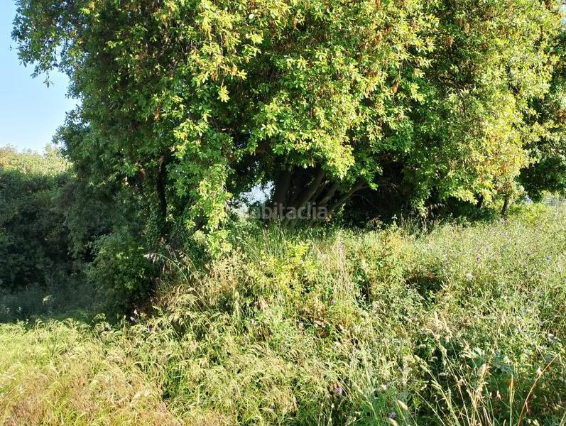 Foto 3e2d9cad-099b-45e2-b384-efff5ce4fa1f. Terreny residencial a Can Massuet del Far Dosrius