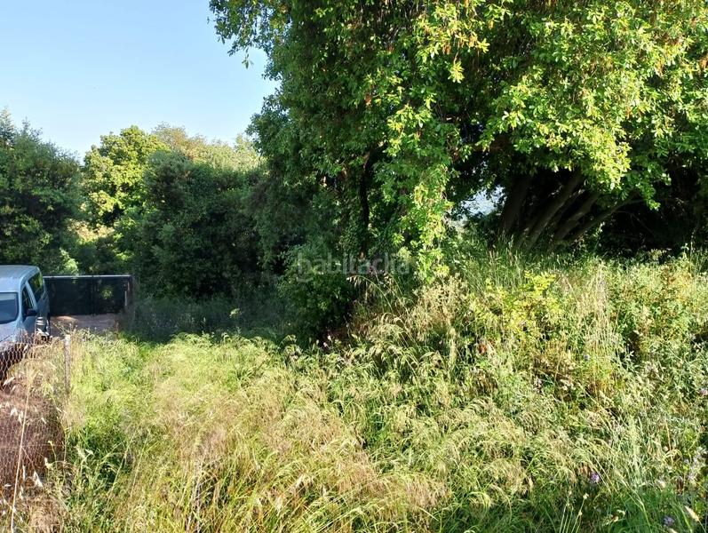 Foto c66c5a4f-b8d4-499e-98c3-74deaff507e2. Terreny residencial a Can Massuet del Far Dosrius