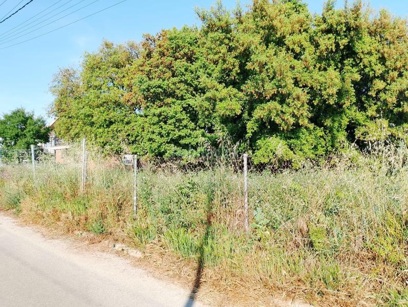 Foto db4a78d7-9dd7-4a1a-823d-4fd6364a39cd. Terreny residencial a Can Massuet del Far Dosrius