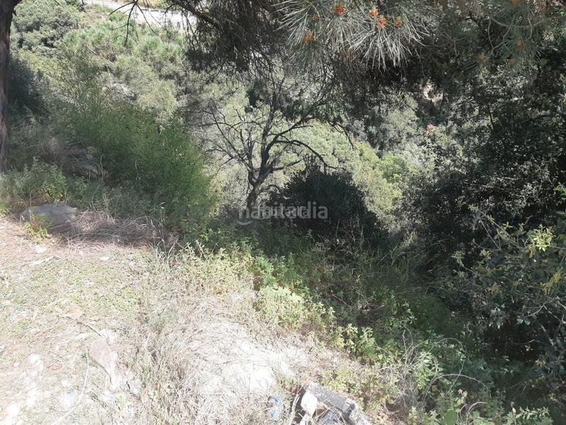 Foto 46a0a7c4-1dbf-496f-a9bf-460c686fd7a8. Terreno residencial ocasion 3 parcelas juntas en Can Massuet del Far Dosrius