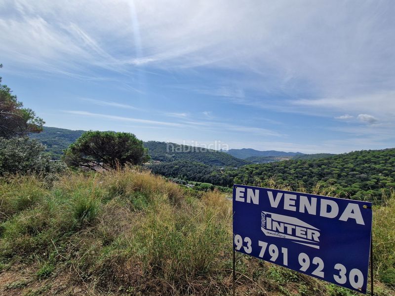 Foto dc8d325d-4c6d-49cb-adbd-16a955e456b8. Terreny residencial a Dosrius poble Dosrius