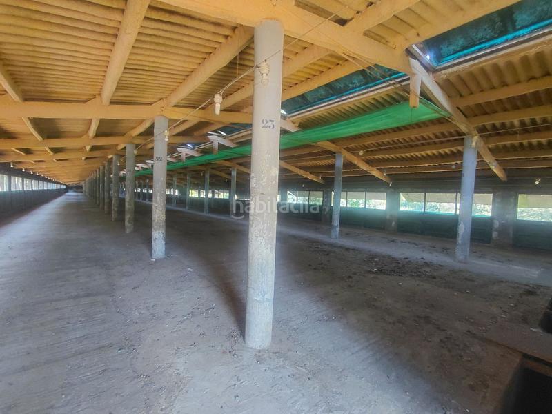 Foto 3cff1d1c-5939-40a6-b11e-23b8b6037251. Location bâtiment à usage industriel dans Canyamars Dosrius