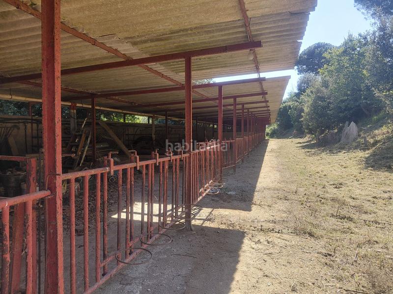 Foto 4484c639-18d4-4785-8da3-5b2f3312158e. Location bâtiment à usage industriel dans Canyamars Dosrius