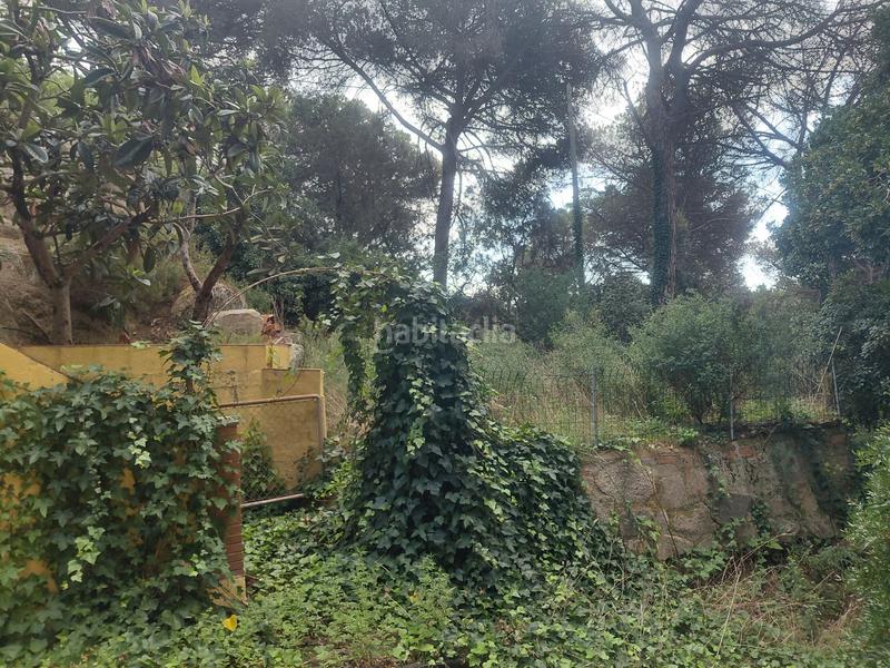 Foto 5a95c997-a322-4839-8596-eceec913a2da. Finca rústica a Can Massuet del Far Dosrius