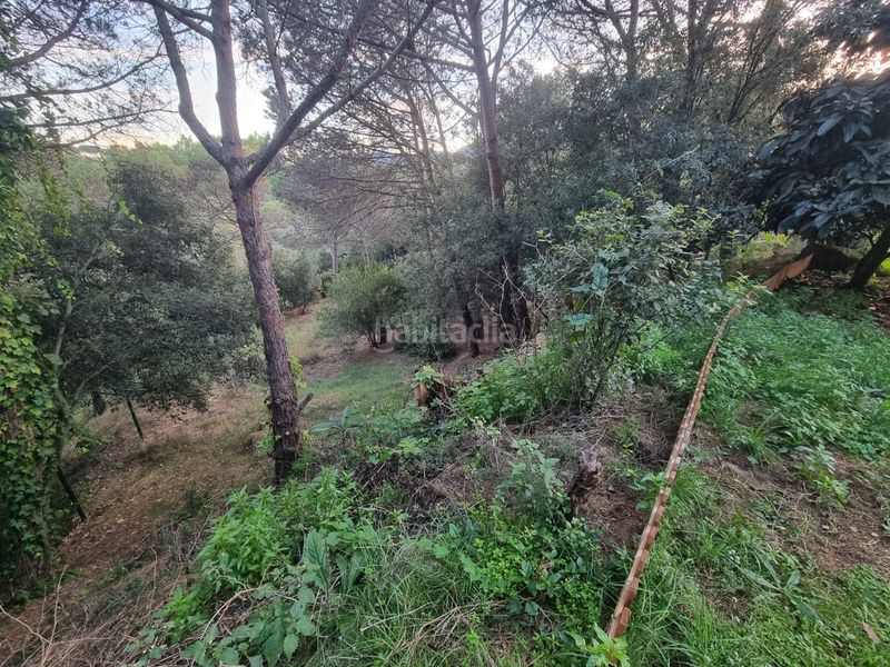 Foto b9236124-b0f6-407c-8933-e1195b892613. Finca rústica a Argentona est Argentona