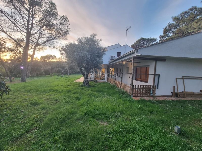 Foto 2c06b95c-27d9-4070-ade1-598875efe5a4. Finca rústica a Argentona est Argentona