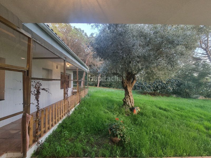 Foto f56208a0-87fe-41b7-b4a5-2fab87b4267c. Finca rústica a Argentona est Argentona