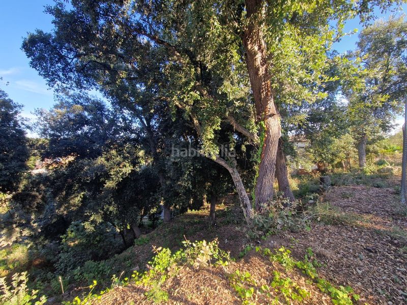 Foto 96e85467-ad96-4510-8788-39b14f8d8537. Terreny residencial a Can Massuet del Far Dosrius