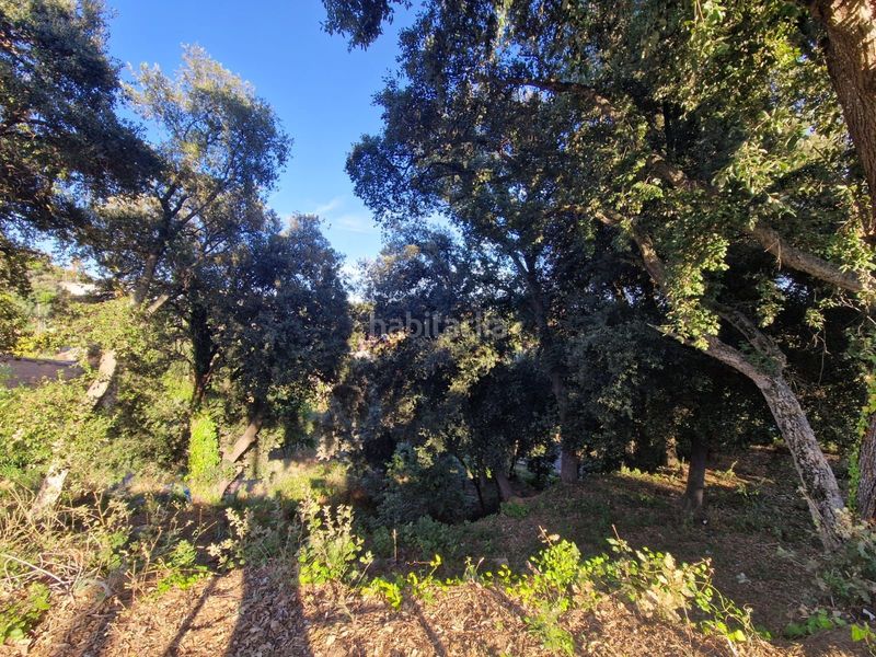 Foto ab2474d5-faa0-4423-9e96-5a0a1ce5fff3. Terreny residencial a Can Massuet del Far Dosrius