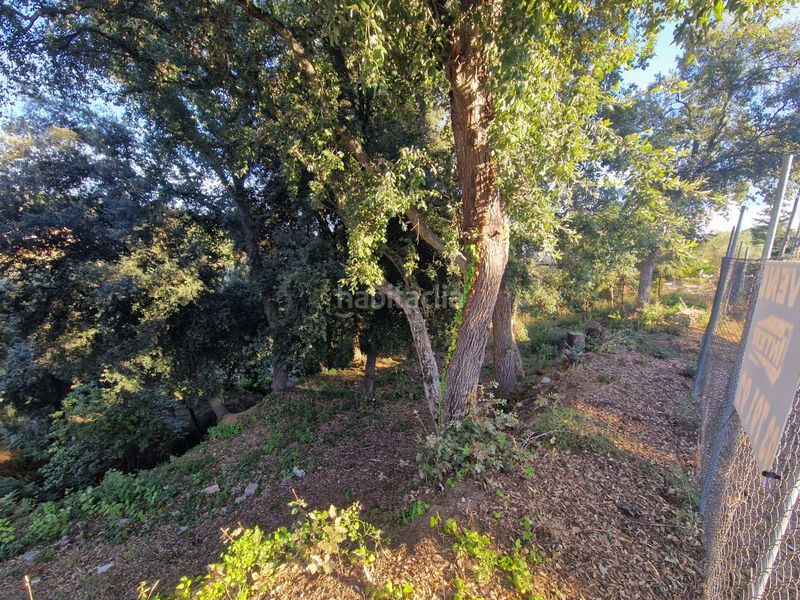 Foto d128e3df-959f-4e82-8035-d311bcd3ae5c. Terreny residencial a Can Massuet del Far Dosrius
