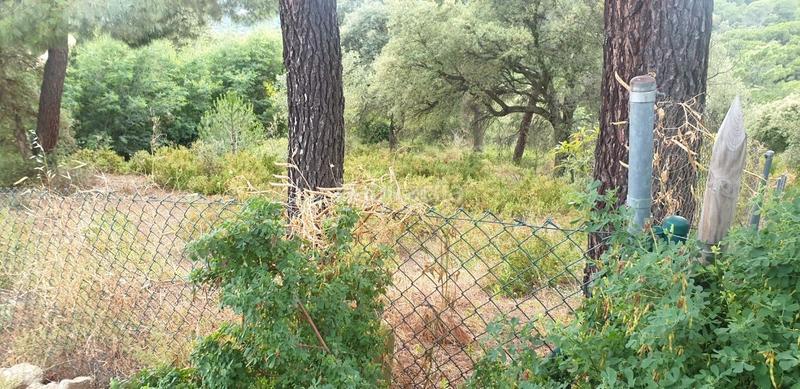 Foto 35eff1f4-b3b4-4ca3-90ce-1261b851dde2. Residential plot in Canyamars Dosrius