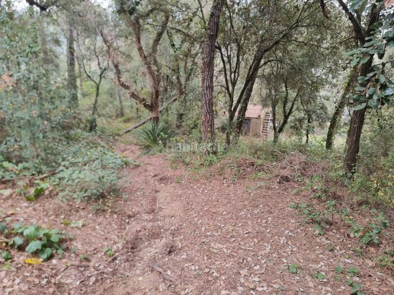 Foto 9c0d7b91-aa4c-4ebd-ac75-f137ebbb1d01. Terreny residencial a Canyamars Dosrius