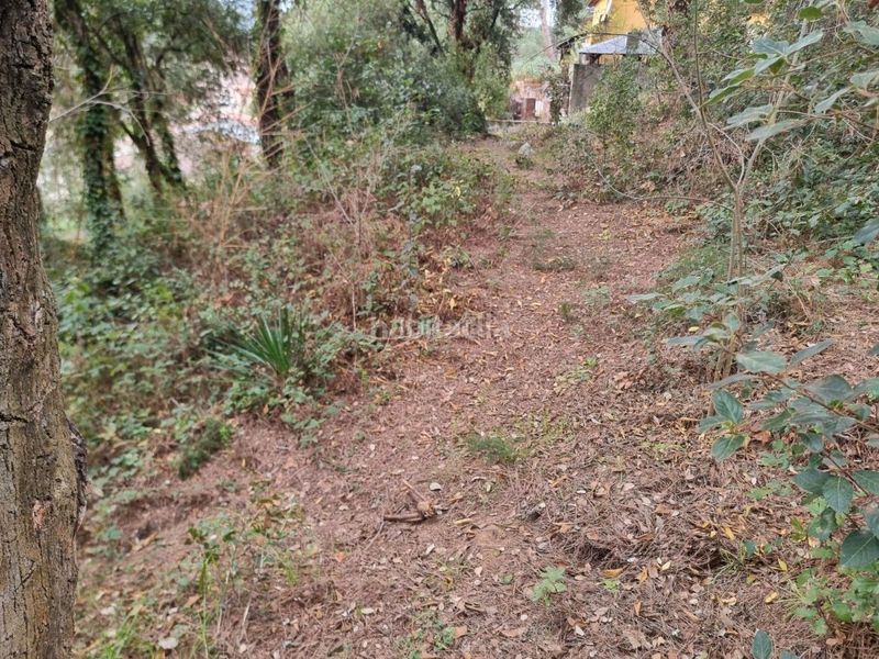 Foto ca7fb70e-314f-4ff1-b5ad-ec77ccb7fb72. Terreny residencial a Canyamars Dosrius