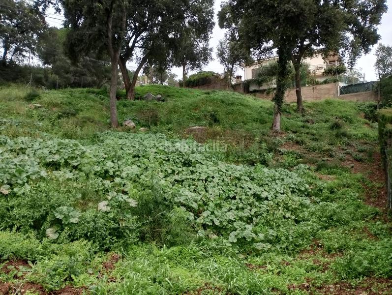 Foto 09b51793-8e53-4bcd-a0b0-2dfcd5dbefbc. Residential plot in Can Massuet del Far Dosrius