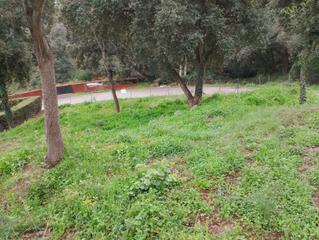 Terreny residencial a Can Massuet del Far. Terreno apto para construir