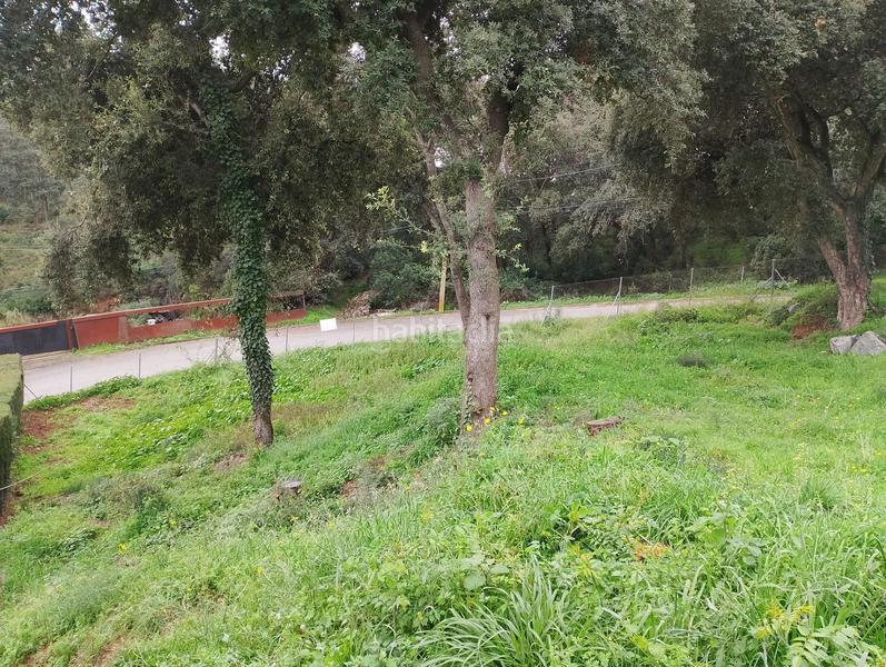 Foto 69986498-1c04-4593-9942-47031b11ad60. Residential plot in Can Massuet del Far Dosrius