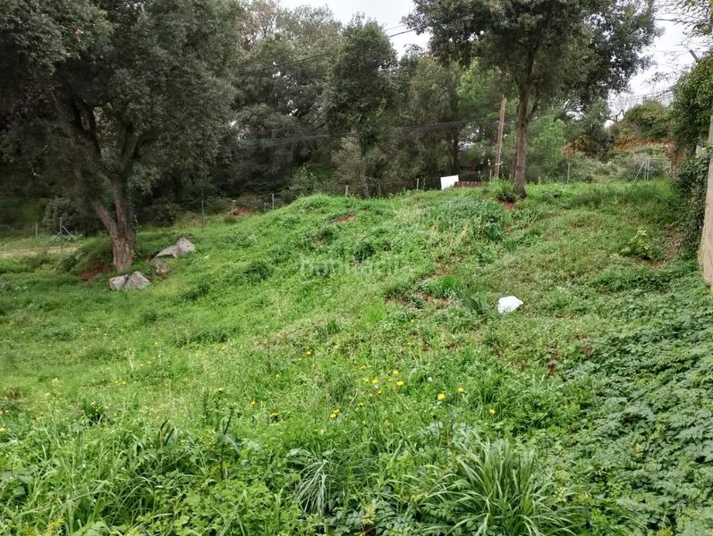 Foto 9f442d65-19a4-41a3-9943-9bde854326a2. Residential plot in Can Massuet del Far Dosrius