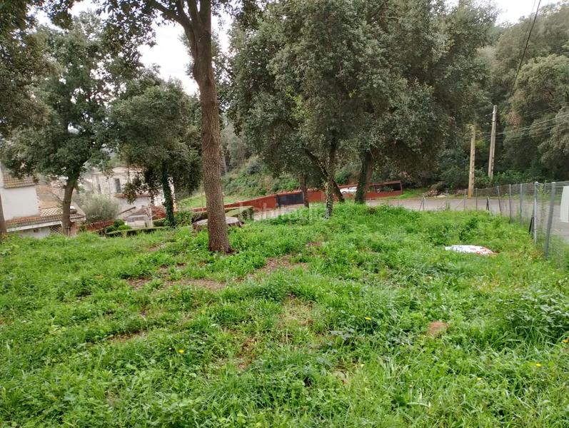 Foto d62a78c5-a463-4cba-af4c-88f4274a34bf. Residential plot in Can Massuet del Far Dosrius