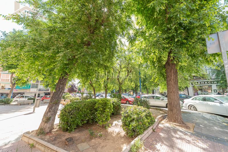 Foto 747cc396-8168-41a1-9174-bfd6b8293a71. Appartement dans Flores Leganés