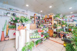 Local commercial à Calle Azuela