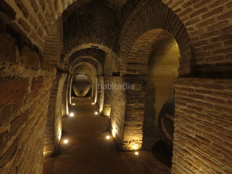 Foto 9575ed09-53bc-48e9-a44f-335519c829d3. Pis amb calefacció a Centro Navalcarnero