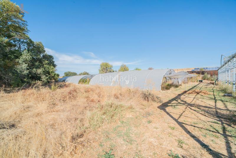 Foto 69b46b83-02c1-48d4-8e9e-f49fbaa6904e. Bauernhof mit kamin parking pool in Brunete