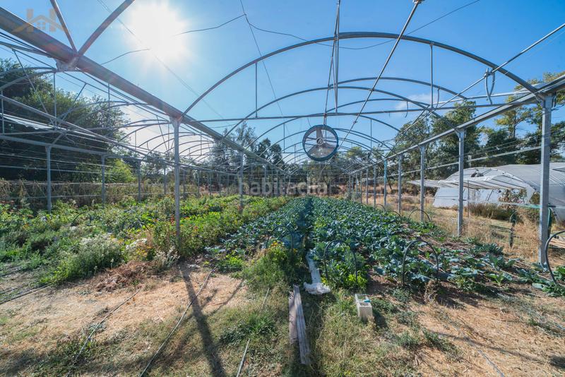 Foto 7a35bfca-4c71-4571-bd34-a133219827c5. Bauernhof mit kamin parking pool in Brunete