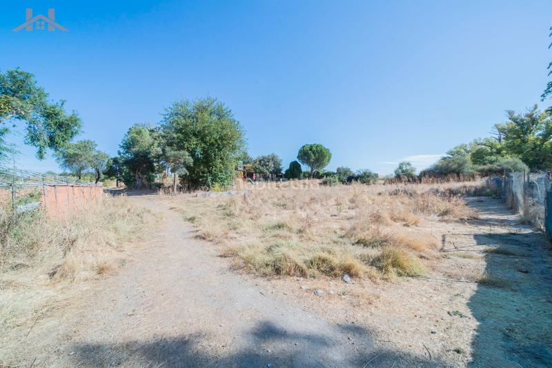 Foto e8e8e3a6-41c1-4c7a-b4b2-bd784b7aa4a7. Bauernhof mit kamin parking pool in Brunete