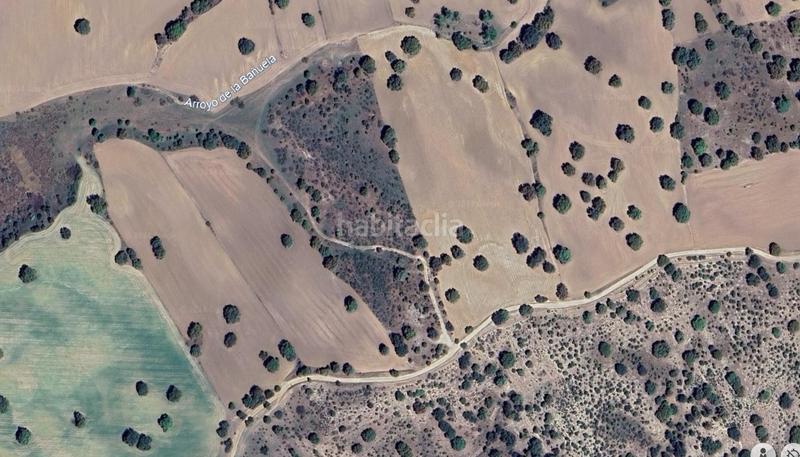 Foto 3674b652-6479-4082-b566-a2b40813ddf8. Fondo rustico in Sevilla la Nueva