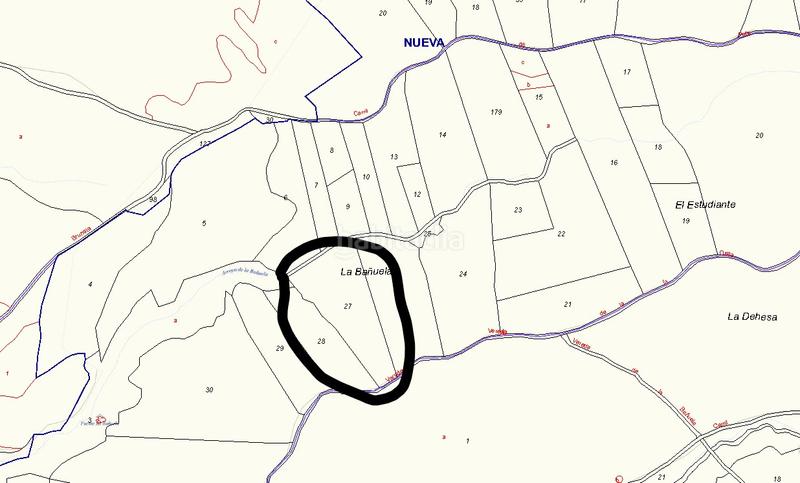 Foto 578527bf-a005-4bb1-a1b3-9064cf2d07a9. Fondo rustico in Sevilla la Nueva