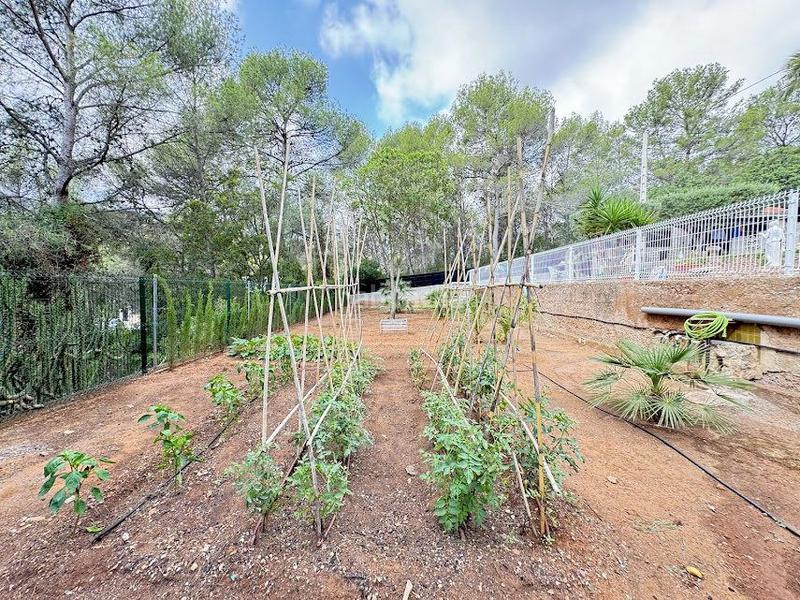 Foto 7216f434-554f-4d32-a5bc-b99c5feb2c07. Chalet avec parking piscine dans Albalat dels Tarongers