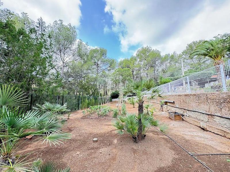 Foto 908168ec-33d4-4bfd-93ed-5f1893bc5e64. Chalet avec parking piscine dans Albalat dels Tarongers