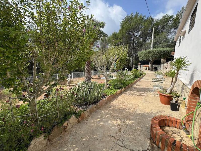 Foto b72736da-3d3f-4326-8b80-539ba63b73d0. Chalet avec parking piscine dans Albalat dels Tarongers