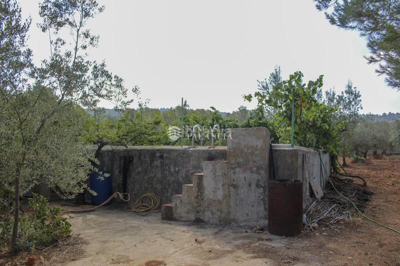 Foto 1772b008-3599-4df1-ba9d-f94da8df962b. Casa  en venta en algimia de alfara, 1 dormitorio. en Algímia de Alfara