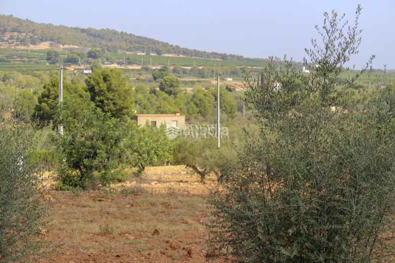Foto 455d4f54-2f11-4abd-9266-932dd9b71992. Casa  en venta en algimia de alfara, 1 dormitorio. en Algímia de Alfara