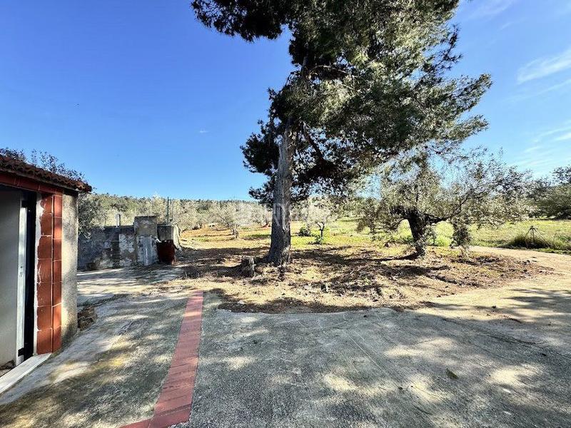 Foto 9d93b336-1eb2-46b1-9805-72f75970f640. Casa  en venta en algimia de alfara, 1 dormitorio. en Algímia de Alfara