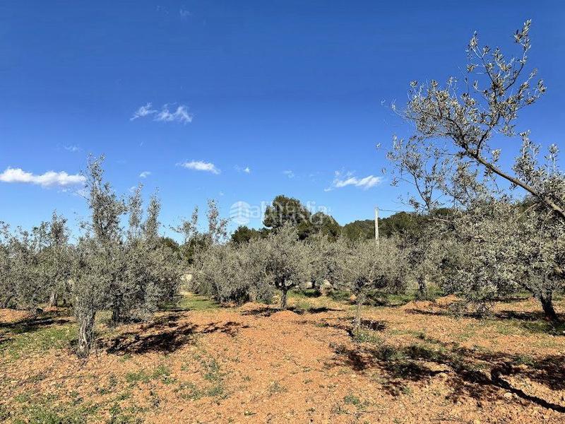 Foto b382d89d-ba0a-4f55-b29d-f61b294df336. Casa  en venta en algimia de alfara, 1 dormitorio. en Algímia de Alfara