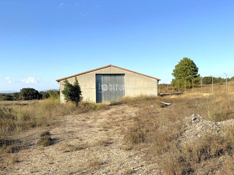 Foto a9067be2-cebe-40d3-bbab-58eb6b4a8480. Affitto capannone industriale in 3 153 in Barracas
