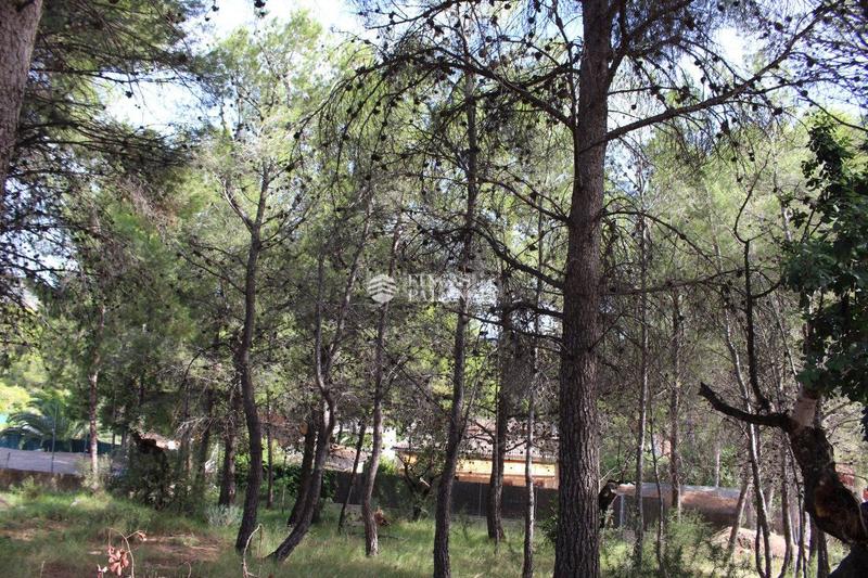 Foto 4ab6ac60-248e-4fd3-a8af-f226c9f4b7fb. Terreny residencial a el tochar 100 a Torres Torres