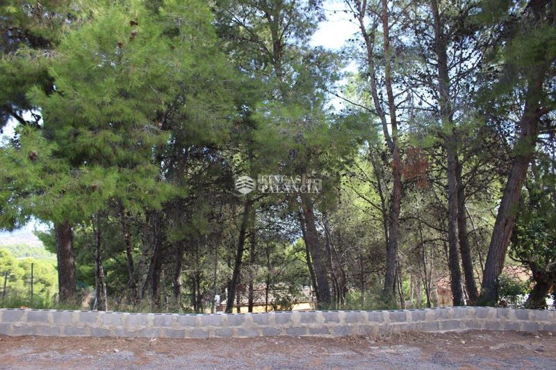 Foto 5626547d-c7fc-4724-98ac-57a3b91f69a8. Terreny residencial a el tochar 100 a Torres Torres