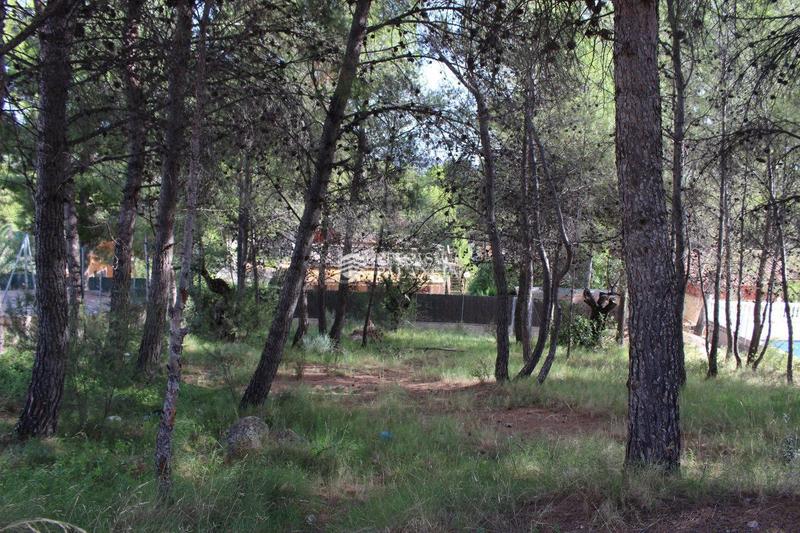 Foto 8bf33f0b-f5e4-4550-a33e-b4567a264f74. Terreny residencial a el tochar 100 a Torres Torres