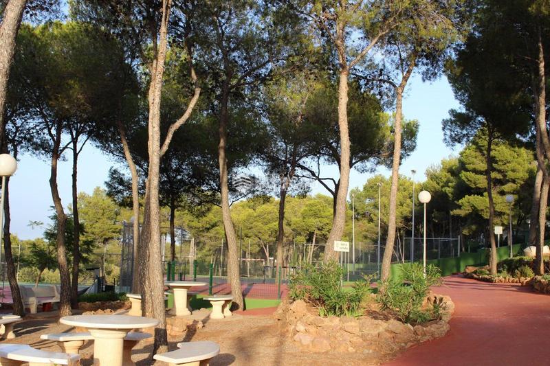 Foto cdf6f006-8529-43f7-8b47-3a0f8b4b8692. Terreny residencial a el tochar 100 a Torres Torres