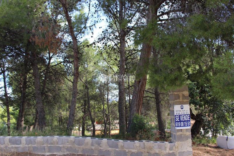 Foto db88c11b-3e25-43fc-854c-6e9c5597c1eb. Terreny residencial a el tochar 100 a Torres Torres