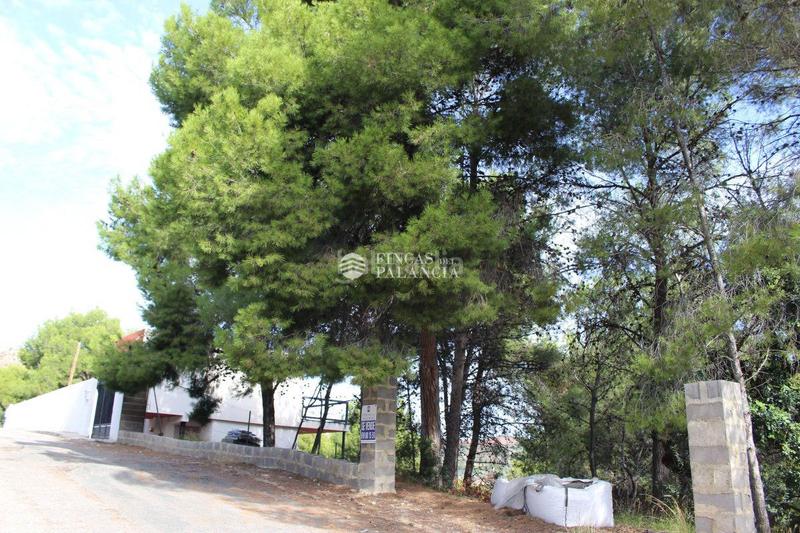 Foto f9b90edd-eef3-4490-a40f-246d972519d0. Terreny residencial a el tochar 100 a Torres Torres
