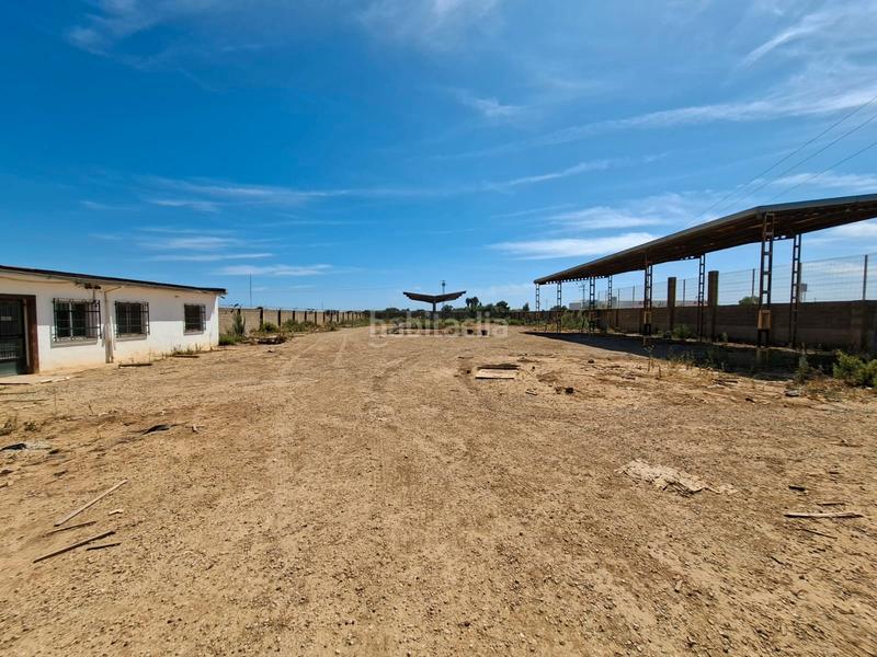 Foto 39388358-9cac-4281-8d4d-a7042f607f1a. Lloguer solar industrial a Sedaví