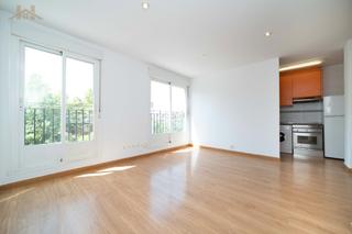 Estudio  Calle san luis